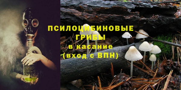 сатива Володарск