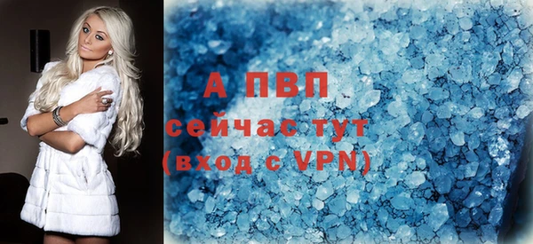 сатива Володарск