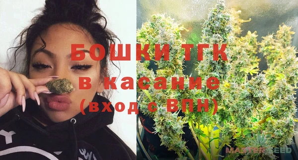 сатива Володарск