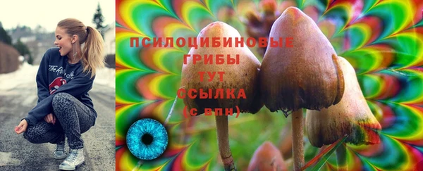 прущая мука Волоколамск