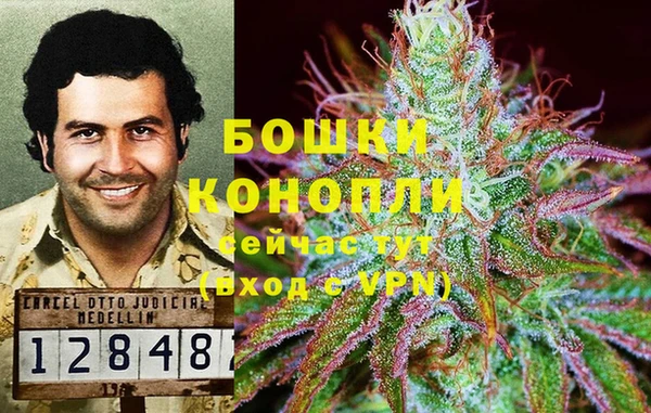 сатива Володарск